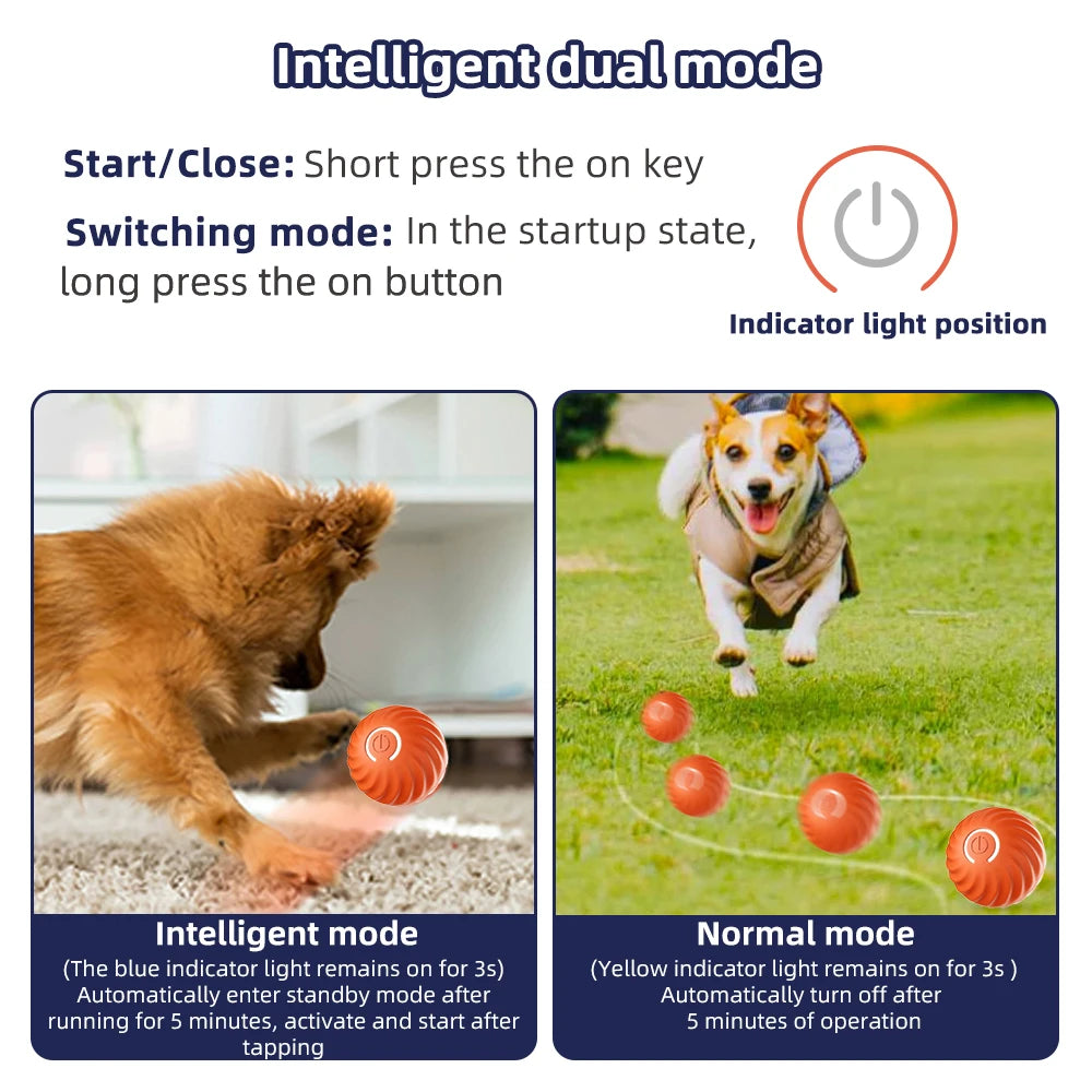 Interactive Pet Toy Moving Ball