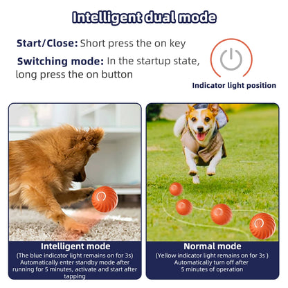 Interactive Pet Toy Moving Ball