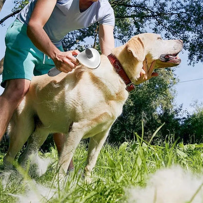 Pet Hair Remover Brush