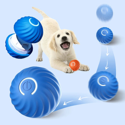 Interactive Pet Toy Moving Ball