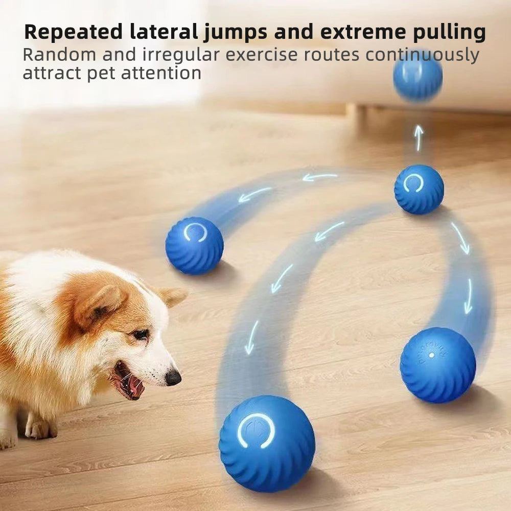 Interactive Pet Toy Moving Ball