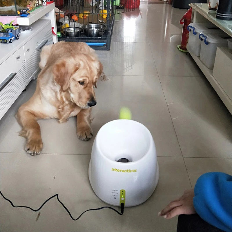 Pet Ball Throwing Machine