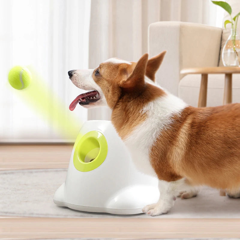 Pet Ball Throwing Machine