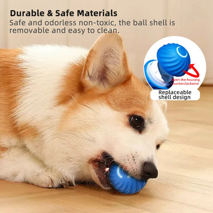 Interactive Pet Toy Moving Ball